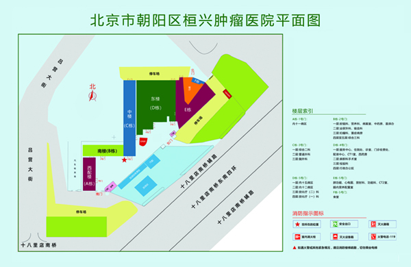 日大学生逼逼北京市朝阳区桓兴肿瘤医院平面图